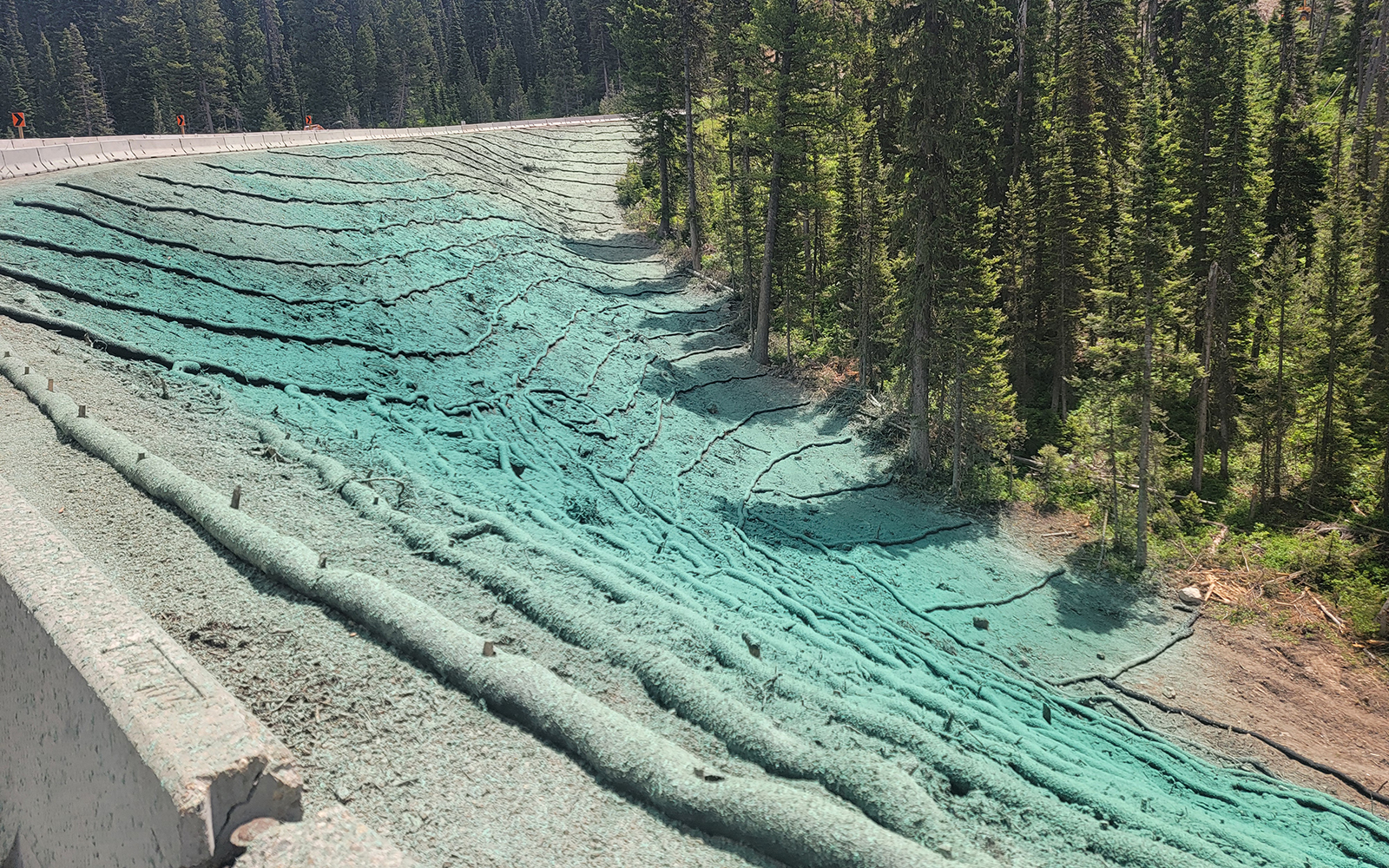 Erosion Control & Soil Amendment for Landslide Repair